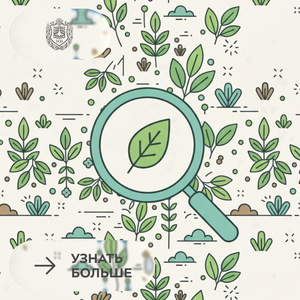 Межвузовский круглый стол «Современные проблемы и технологии в экологии»